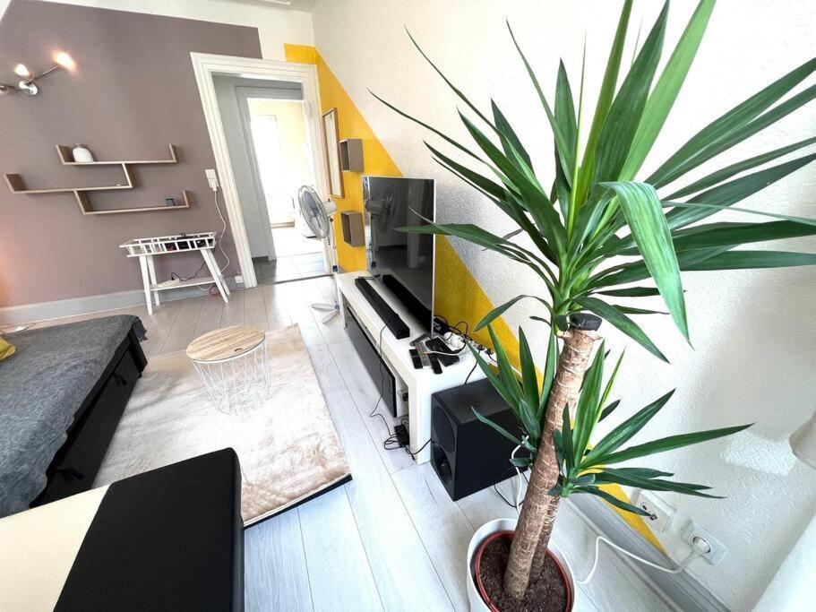 Appartamento Lumiere Secrete Mulhouse Centre Parking Tram Esterno foto